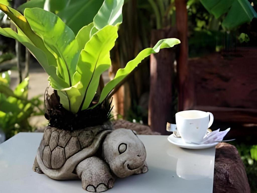Tanisa Resort Chumphon Zewnętrze zdjęcie