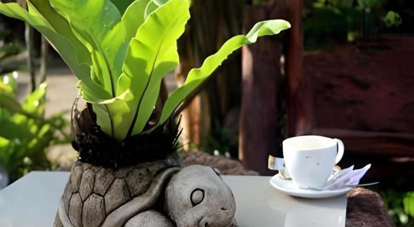 Tanisa Resort Chumphon Zewnętrze zdjęcie